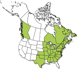 North American range map